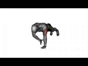 Abs & Core: Plank Shoulder Taps