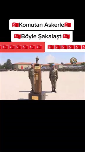 Military Training Exercises Showcased in Outdoor Setting