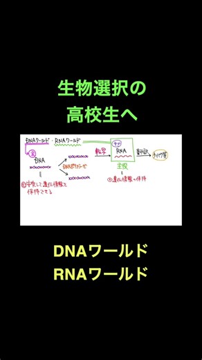 203 DNAワールド・RNAワールド