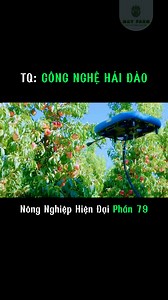 2.2K views · 20 reactions | modern apple picking technology  #amazing #tips #diy #DIY | Survival Amazing | Facebook