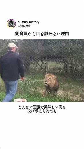 飼育員から目を離せない理由
