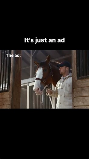 @_onyxice on Instagram: "Budweiser Clydesdale Puppy Love Super Bowl (2014) Commercial . #fypシ #fy #dogslife #dogs #dog #love #animallovers #pet #peta #catlover #catsofinstagram #cat #relatable #fyp #relate #instagram #reels #explore #instagood #explorepage #petstagram #pets #puppy"