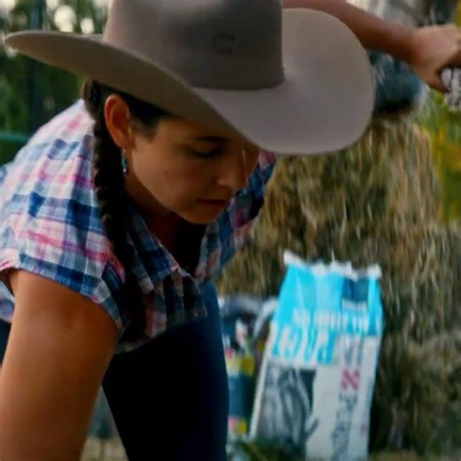 Purina Livestock Feed | Now Available at Blain's Farm & Fleet