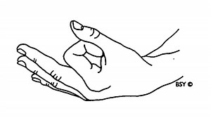 Chin Mudra - How to do, Benefits, Variations | Learn from Experts