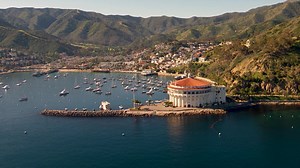 95K views · 608 reactions | Now is the time to Roam Wild! Catalina Island is ready to welcome you back. Book your trip today | Catalina Island | Facebook