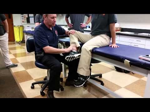 MMT: Sartorius - Hip Flexion, Abduction, and External Rotation with Knee Flexion