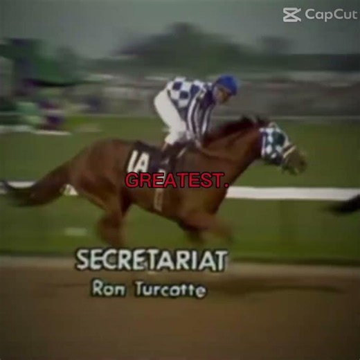 Secretariat was the greatest horse alive..