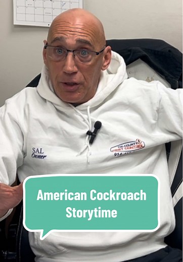Storytime with the boss: Our owner Sal tells us about the time he had to take care of a BIG American Cockroach problem! #pestcontrol #exterminator #roaches #pestcontrolnyc #nycapartments #propertycare #fyp