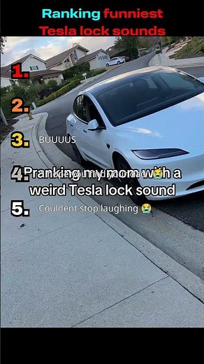 Funniest Tesla Lock Sounds 🤣