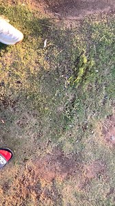 Mabaso Future Makhado on Reels