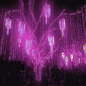 Cobbe Meteor Shower Falling Rain Lights Christmas Lights 8 Tubes 192 LED Icicle Snow Falling Christmas Lights Outdoor Raindrop Lights, Xmas Tree Holiday Decoration LXY-BYQ Purple Light