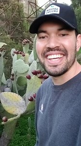 2.7K views · 74 reactions | did you know you can eat cactus fruits #cactus #fruit #nature #foraging | Garden Time Tip | Facebook