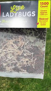 2.1M views · 80K reactions | Natural pest control and the kids love them too!  #ladybugs #liveladybug #naturalgardening #naturalpestcontrol #gardening #gardening101 #gardeninghacks. Get the ladybugs here (affiliate link) ➡️ https://amzn.to/3m8aoXb | Simplistically Living | Facebook