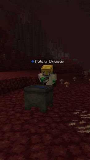 30% graczy #minecraft o tym NIE WIE!