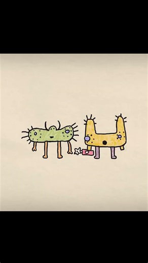 hair weasel 2d animation totally stupid random animation of the day from duck turtle