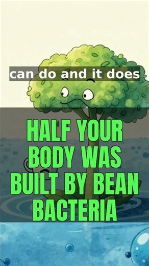 Half Your Body Was Built By Bean Bacteria | Keystone