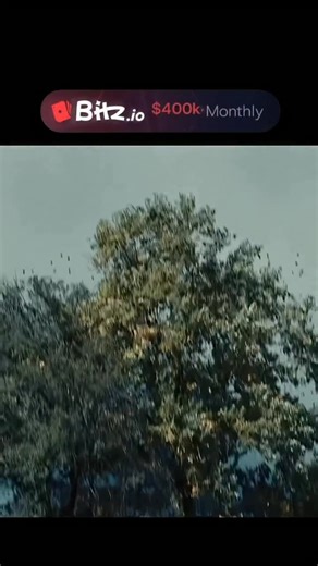 Current movies Ent on Instagram: "The First King 2019 ‧ Action/Adventure ‧ 2h 7m **The First King** is a historical adventure that recounts the legendary origins of Rome through the story of twin brothers, Romulus and Remus. Raised by a she-wolf after their father’s death, they grow into strong, brave leaders. When rivalry and suspicion threaten their brotherhood and the future of Rome, they face betrayal, battles, and difficult choices. Romulus ultimately kills Remus and establishes the city of