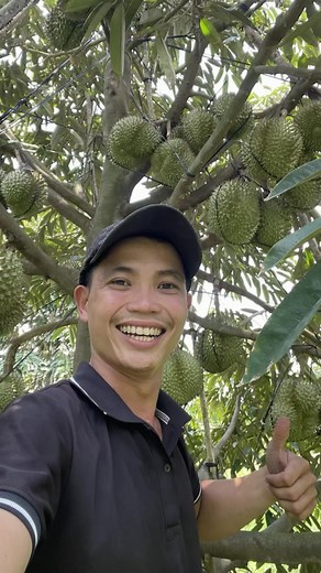 Trendy TikTok Hairstyles: Half Up Half Down for Six Months #CapCut