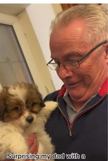 Dad’s reaction when we surprised him with a dog 😭🐶❤️#DadReaction #DogSurprise #FamilyLove #EmotionalMoment #Wholesome