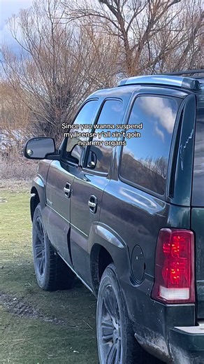 ISP License Suspension Concerns