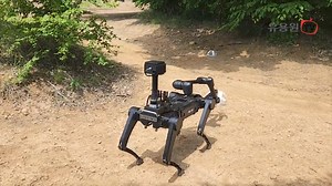 7.2K views · 244 reactions |  [VIDÉO] - L'armée sud coréenne a commencé à tester un chien robot. Les fonctions sont nombreuses : reconnaissance, manipulations diverses d'objets, et même suppression de l'ennemi avec des armes à feu, rapporte Ria Novosti vidéo à l'appui | Actualités Géopolitiques | Facebook