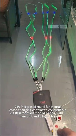 with 1 main unit and 8 light strips 24V integrated multi functional color changing controlle#RGB
