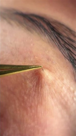 Brow Code Point Precision Tweezers