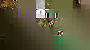 1.3K views · 29 reactions | The new 299D3 XE Land Management Compact...