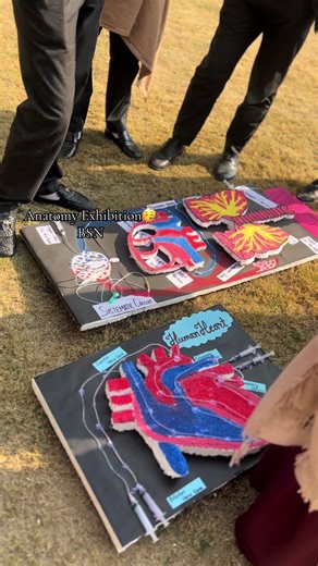 Anatomy Exhibition Preparation for Nursing Students