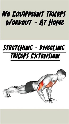 Triceps Workout at Home – No Equipment 💪🔥
