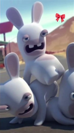 #Rabbit invision#🌹🎀⁉️🌷