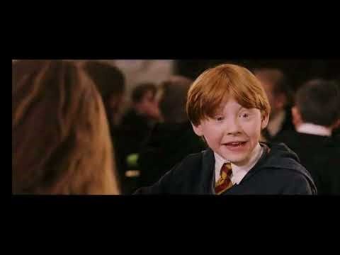 Harry Potter : à combien s’élève la fortune du jeune sorcier ? Les fans ont trouvé la réponse