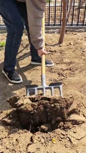 The Best Tool for Garden Soil Tilling
