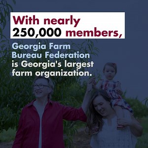 Georgia Farm Bureau is proud to advocate for farmers at the state and national level. Membership in Georgia Farm Bureau is open to everyone. You don't need to be a farmer or have an insurance policy with us to join Farm Bureau. Become a Georgia Farm Bureau member today to support our Georgia farmers! https://www.gfb.org/membership/join-today.cms | Georgia Farm Bureau