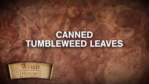 What People Ate to Survive During the Dust Bowl