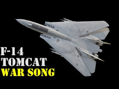 F-14 Tomcat war song : THE MASTER OF THE SKY