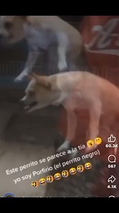 34K reactions · 6.6K shares | Pick me back up, put the key bk in my back臘‍♂️ Voiceover by Me #jamarrobbinhoze | Howard Uvald | Facebook