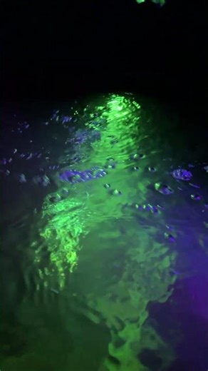 Hidden Waterfall Paradise - Color Changing Lights