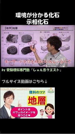 【理科のコツ「地層」】地層問題で重要な考え方【受験理科専門塾しゅん吉クエスト】