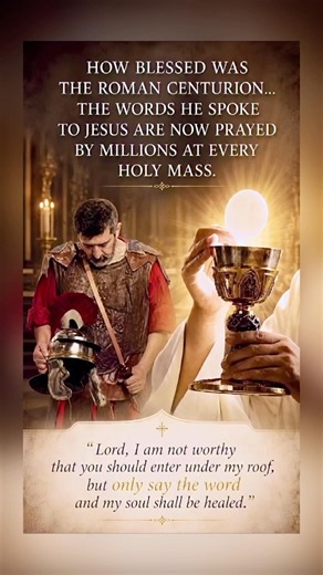 The Catholic Mass #catholicmass #eucharist