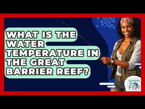 What Is The Water Temperature In The Great Barrier Reef? - Chasing Big Fish