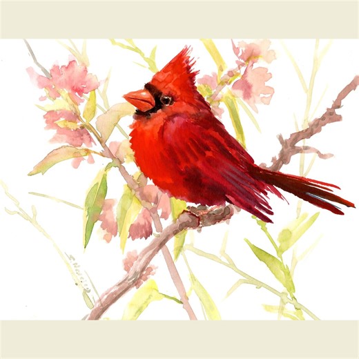 Cardinal Bird Watercolor Artwork, Original Painting by Artist Suren - Etsy