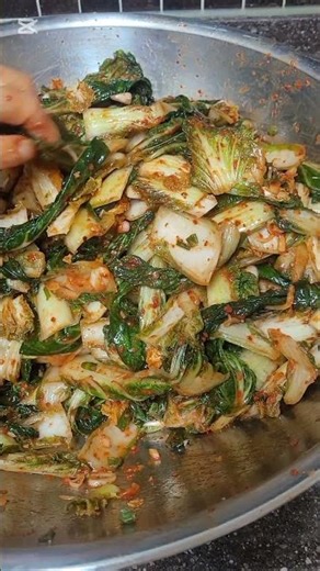 얼갈이김치 맛의 한 끗! 돌멩이 하나로 국물 맛 살리는 법