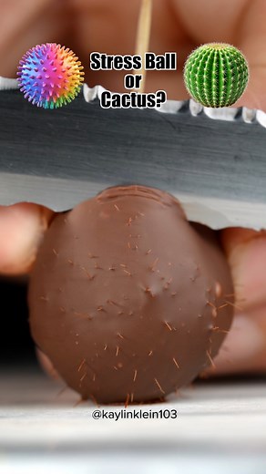 6.7M views · 30K reactions | Stress ball or cactus #asmr #chocolatelover #satisfying | Fast Easy Hacks | Facebook