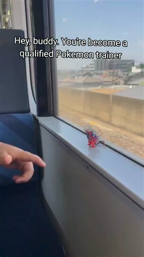 Qualifying as a Skilled Pokemon Trainer