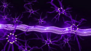 Animation neurons in the brain.Synapse and Neuron cells sending electrical chemical signals. Activity of electrical impulses synapses, axons, neurotransmitters, dendrites in the brain, 4K 3D Animation