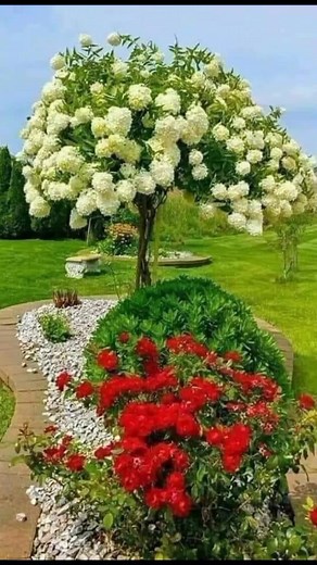 Captivating Landscapes and Vibrant Flower Displays