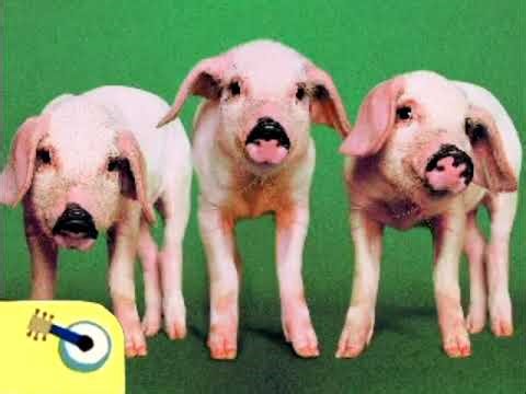 Noggin Move to the Music: Buck Howdy Baa Neigh Cock-A-Doodle-Doo (2007)