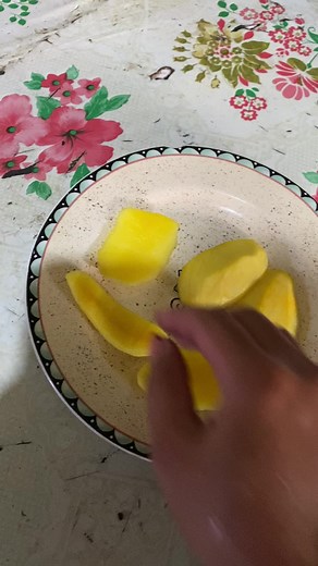 Can Dogs Eat Mango? A Guide for Dog Owners