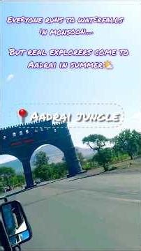 Aadrai Jungle in Summer 🔥🌿 | No Crowd, Pure Wild Experience